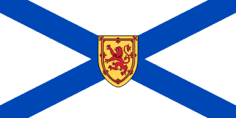 NS flag